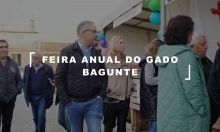 Feira Anual do Gado de Bagunte 2024