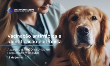 Vacinação canídea em Bagunte. 